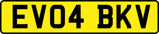EV04BKV
