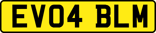 EV04BLM