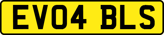 EV04BLS
