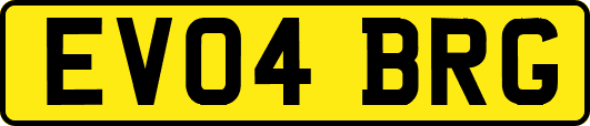 EV04BRG