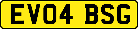 EV04BSG