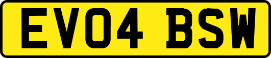 EV04BSW
