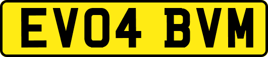 EV04BVM