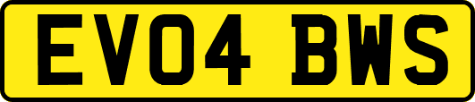 EV04BWS
