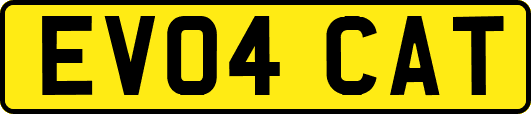 EV04CAT
