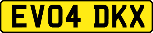 EV04DKX