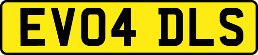 EV04DLS