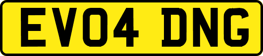 EV04DNG