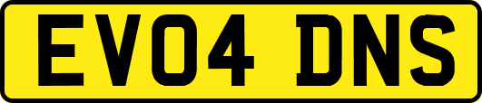 EV04DNS