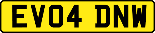 EV04DNW
