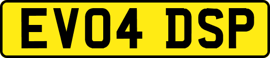 EV04DSP