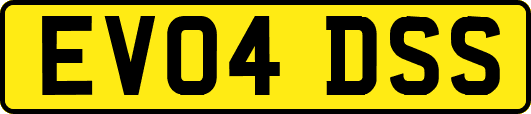 EV04DSS