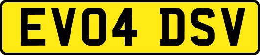 EV04DSV