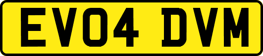 EV04DVM