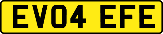 EV04EFE