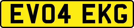 EV04EKG