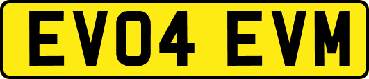 EV04EVM