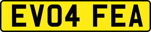 EV04FEA