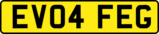 EV04FEG