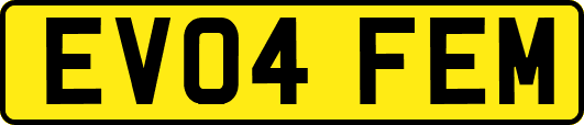 EV04FEM