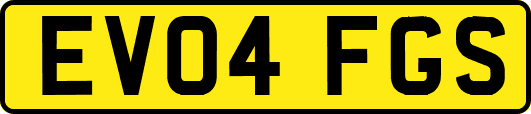 EV04FGS