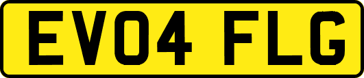 EV04FLG