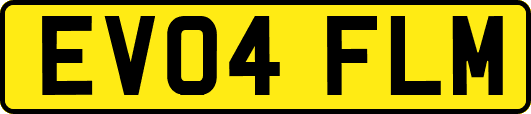 EV04FLM