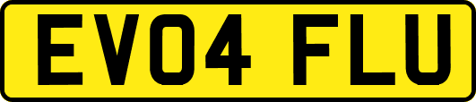 EV04FLU
