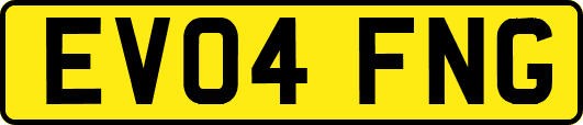 EV04FNG