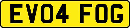 EV04FOG