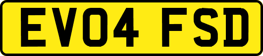 EV04FSD