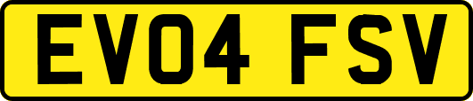 EV04FSV