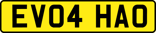 EV04HAO
