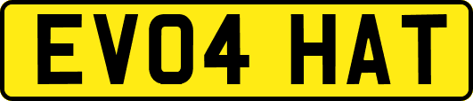 EV04HAT