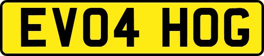 EV04HOG