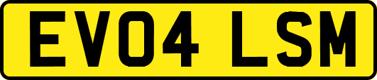 EV04LSM
