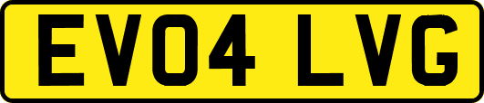 EV04LVG