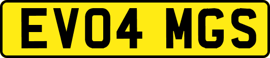EV04MGS