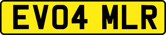 EV04MLR