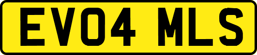 EV04MLS