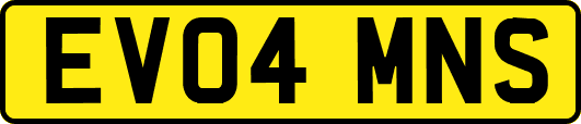 EV04MNS