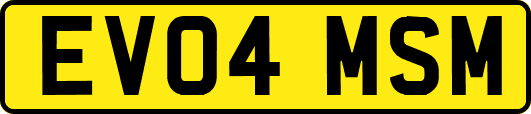 EV04MSM