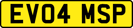 EV04MSP