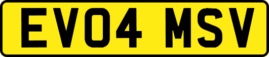 EV04MSV
