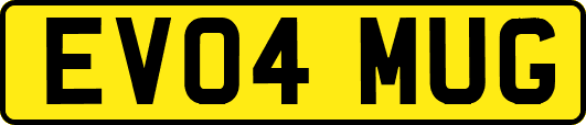EV04MUG