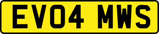 EV04MWS