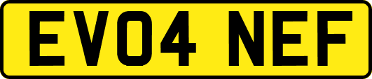 EV04NEF