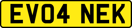 EV04NEK