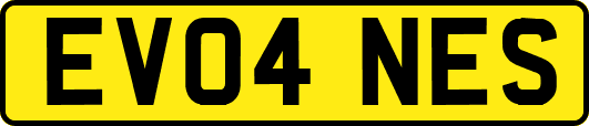 EV04NES