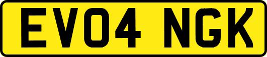 EV04NGK